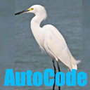 egretAutoCodeEui